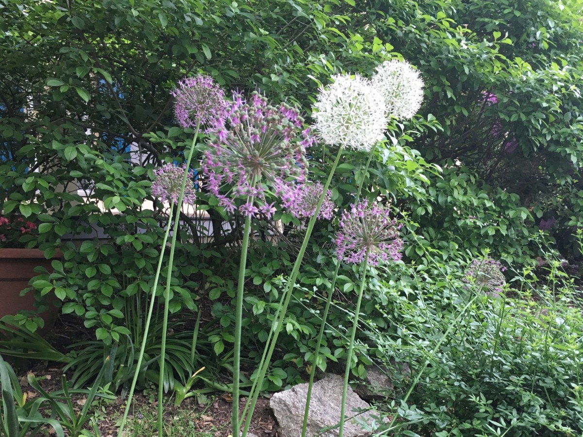 Let Me Know If It’s&nbsp;On